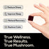 Gummy Gummies (60 Count) TrueMushroom - Sleep Support Mushroom Supplement with Melatonin for Sleep and Relaxation