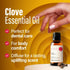 H’ana Clove Oil for Teeth and Gums, 100% Pure Natural Clove Essential Oil for Hair, Skin, Toothaches, 1 Fl Oz