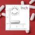 Supersmart - Lactobacillus Reuteri Probiotic Supplement, 5 Billion CFU per Day - 60 DR Capsules
