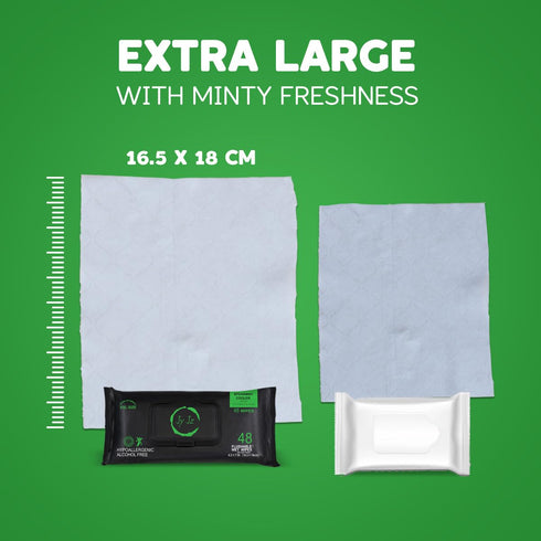 JYJZ 6 Pack (288 Flushable Wet Wipes, Wipes), New & Improved Spearmint Cooler, Disposable, Biodegradable, XL, Aloe