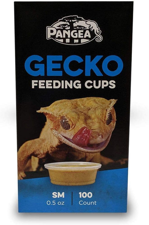 Pangea Small Gecko Food & Water Cups, 100 ct