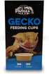 Pangea Small Gecko Food & Water Cups, 100 ct