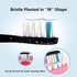 Mullburry 12 Pack P11 T9 P11 T9 Replacement Toothbrush Heads Compatible with fairywill Electric Toothbrush, W Shape