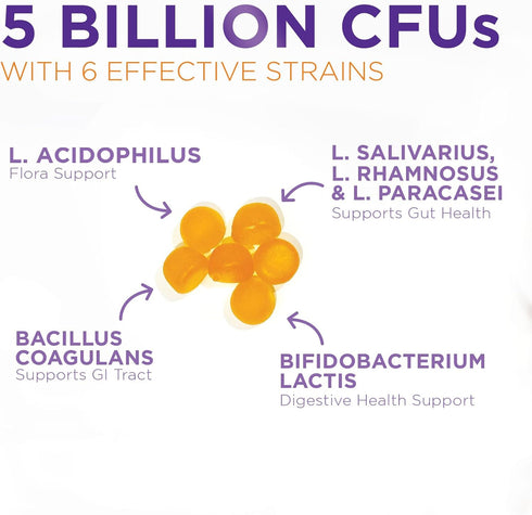 Daily Probiotic Gummies for Women & Men, 120 Gummies, 5 Billion CFU, Vegan, Immune, Urinary & Digestive Support