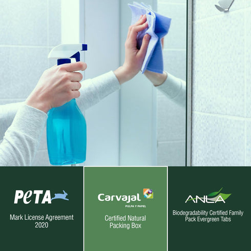 All Purpose Cleaner Tablets – Family Pack – Eco-Friendly Natural Kitchen Cleaner, Glass, Bathroom & Water Stain Remover