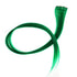 SWACC 12 Pcs Straight One Color Clip on Party Highlights Hair Extensions (Green)