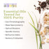 Aura Cacia 100% Pure Lavender Essential Oil, 0.5 fl. oz, Therapeutic Grade, Calm Relaxing Aroma