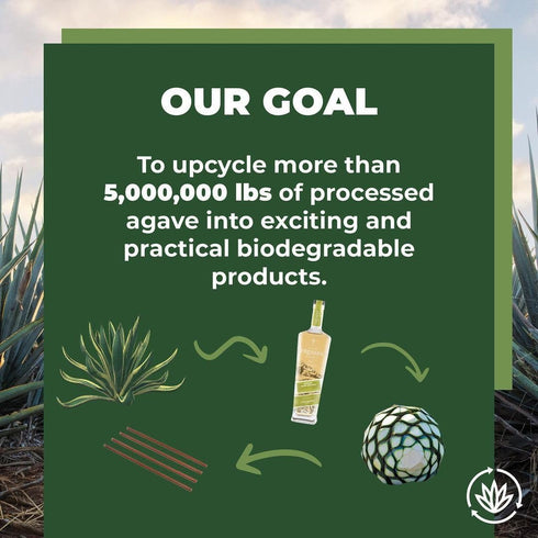 Sustainable Agave Co 24 Count Agave Fiber Spoons, Biodegradable, Plant-Based, Made With Upcycled Materials
