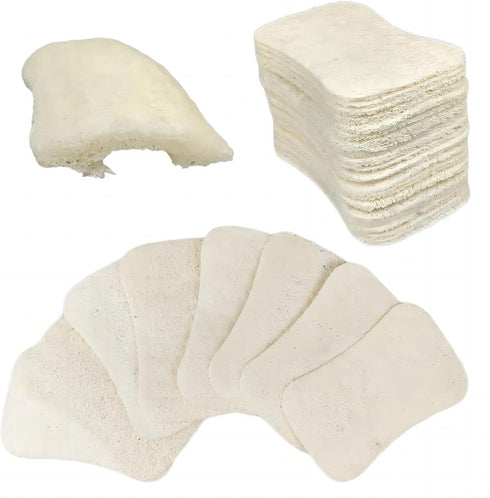 50 Pack Natural Loofah Dish Sponge, Multipurpose Non-Scratch Luffa Kitchen Scrub Pad for Cleaning Kitchen, Bathroom,