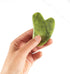 Sage Owl Gua Sha Face Massager Tool, Neck and Jawline Sculptor for Daily Skin Care Routine, Anti-Aging Tool