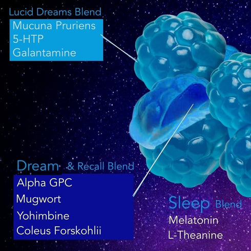 Lucid Dreams Deep Sleep - Mugwort Herb, 5 HTP, Mucuna Pruriens, Choline Supplements, 60 ct