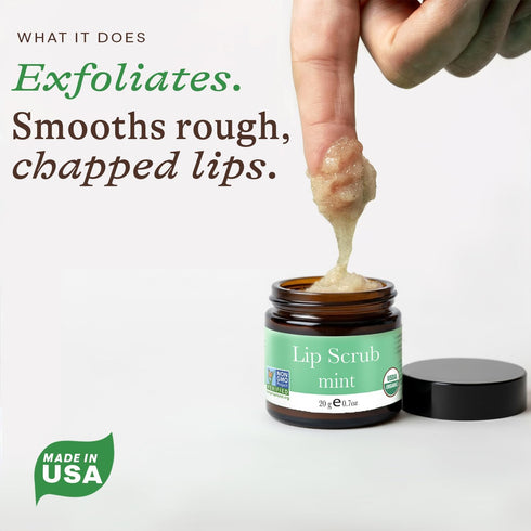 USDA Organic Lip Scrub Mint - Natural Ingredients for Moisturizing & Exfoliating Dry Lips - Small Beauty Gift