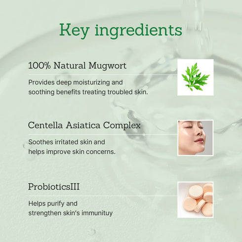 Mugwort Super Calming Toner - 100% Natural Vegan & Cruelty Free, Soothing Booster for Redness-prone Skin 8.45 fl.oz /