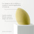 Jenny Patikin Pure Luxury Green Tea Makeup Sponge - Organic Beauty Blender for Flawless Face Makeup Blending
