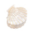 Shell Jaw Clip Hair Claw Clip - Marble Pattern Resin Hair Clips for Women, Hairdressing Accessories (White)