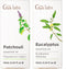 Patchouli Essential Oil for Diffuser & Eucalyptus Essential Oil for Diffuser Set