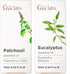 Patchouli Essential Oil for Diffuser & Eucalyptus Essential Oil for Diffuser Set