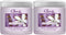 Clear Air Odor Absorber Gel - 15 oz, Pack of 2: Air Freshener for Bathrooms, Cars, Boats, RVs, Pet Areas - Lavender