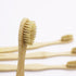 Gaia Guy Natural Bristle Bamboo Toothbrush with Boar Bristles - Biodegradable and Compostable, Zero Waste 12-Pack