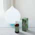 Soap & Paper Factory 1 oz Roland Pine Fragrance Oil