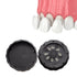 Denture Case, Dental All-Ceramic Veneer Processing Box, Reusable Black Storage Box with Spare Pad