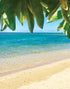 Island Soap and Candle Works Jasmine Scented Body Lotion, 8.5 Fl Oz, Paraben Free, Hydrating Hawaiian Skincare