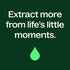 Plant Therapy Blue Tansy Essential Oil, 100% Pure, 5 mL (1/6 oz), Natural Aromatherapy