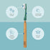 TEPE Choice Soft Toothbrush, Dental Toothbrush for Teeth Cleaning with 3 Replaceable Heads, Green
