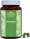Wheatgrass Tablets Herbal Supplements, 120 Count, 500 mg