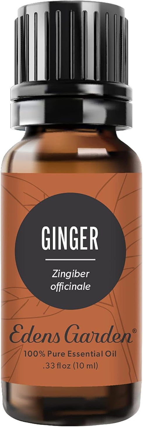 Edens Garden Ginger Essential Oil, 100% Pure Premium Grade, 10 ml for Diffuser and Skin