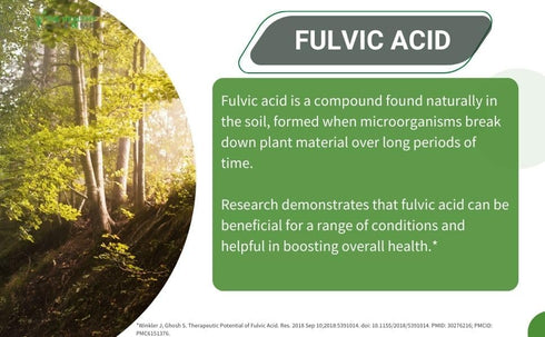 Liquid Fulvic Acid + Humic + Trace Minerals | Hydration | Keto Supplement | Energy | pH Balance | Hair | 2-Month Supply