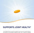 Nature's Way Turmeric Premium Extract: Joint Health Support, 500 mg, 120 Tablets