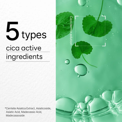 Mediheal Dermaplus Cica Mask (10 Counts) - Vegan Daily Mask for Calming Skin with Panthenol & Hyaluron