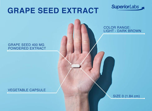 Superior Labs Grape Seed Extract 400mg - 95% Polyphenols, 120 Vegetable Capsules for Cardiovascular Health & Immune