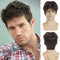 Mens Short Brown Synthetic Wig, Natural Replacement Hair for Daily Party Wear