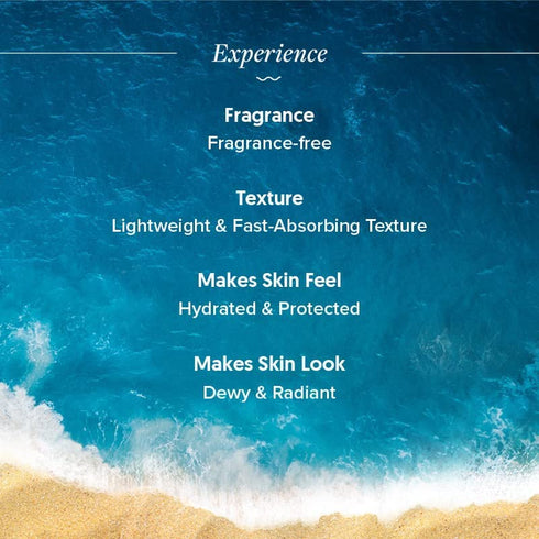 Radiance+ Dewy Face Sunscreen with SPF 50+ & PA+++ | Broad Spectrum Protection & No White Cast, 1.76 Oz/50g