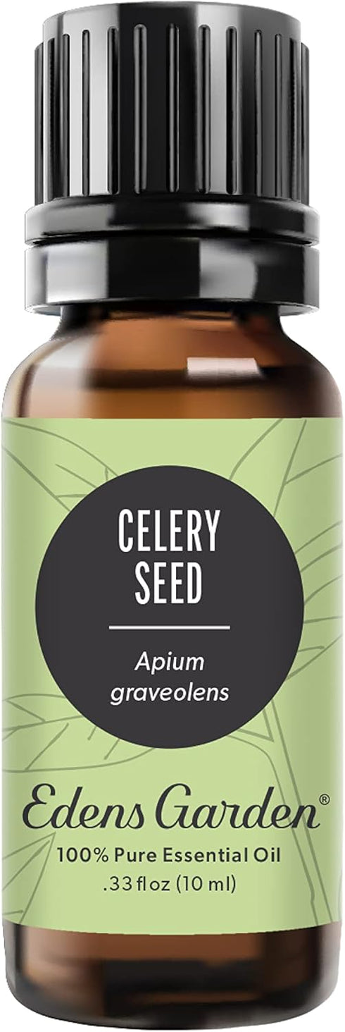 Edens Garden 100% Pure Celery Seed Essential Oil - Therapeutic Grade Undiluted Aromatherapy - 10 ml