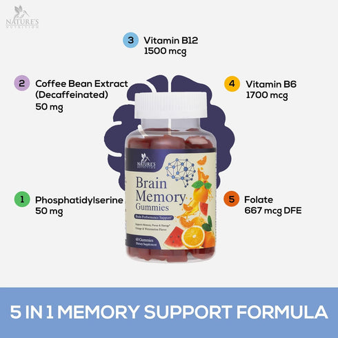 Nature's Caffeine Free Brain Supplement Gummy for Memory, Focus & Concentration - 60 Gummies with Nootropics & Vitamins