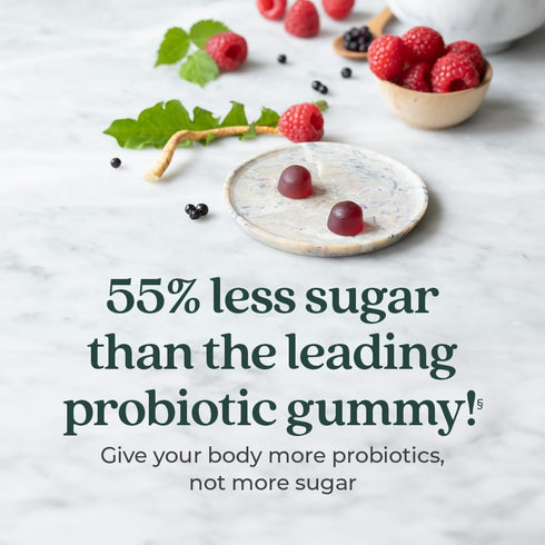 New Chapter Probiotic Gummies for Women and Men - 1 Month Supply - Vegan, Non-GMO, Holistic Gut Health