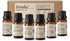 Natural Essential Oils Set - Pure Scents for Wellness: Lavender, Peppermint, Rosemary,
