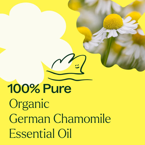 Plant Therapy Organic German Chamomile Essential Oil 2.5 mL, 100% Pure, Undiluted, Therapeutic Grade
