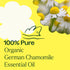Plant Therapy Organic German Chamomile Essential Oil 2.5 mL, 100% Pure, Undiluted, Therapeutic Grade