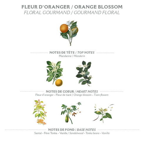 Panier des Sens - Orange Blossom Bar Soap - 97% Natural Ingredients Made in France, Vegan Friendly, Moisturizing