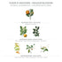 Panier des Sens - Orange Blossom Bar Soap - 97% Natural Ingredients Made in France, Vegan Friendly, Moisturizing