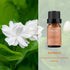 BURIBURI Gardenia Essential Oil 100% Pure Gardenia Fragrance Oil, Undiluted, Natural, Organic Aromatherapy Oil Essential Oils 10ML for Soap Candle Making