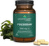 Fucoidan Gut Health & Immune Support Supplement – 250mg, 60 Count - Premium Brown Seaweed Extract for Immune System &