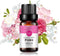 Peony Essential Oil 10ML - 100% Pure Organic for Diffuser, Massage, Skin Care