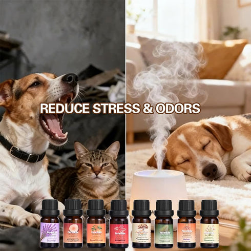 Yurnfkdn (8, Pet Friendly Aromatherapy Essential Oils Collection,Safe for Dogs and Cats,Natural Relaxation and Stress