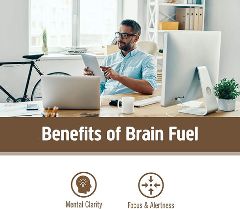 OM Mushroom Superfood Brain Fuel Mushroom Powder Capsules, 90 Count, Lion's Mane & Reishi Blend