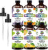 Set (4 oz/120 ml) Essential Oil - Six Bottles of Lavender, Peppermint, Lemon, Sweet Orange, Tea Tree, Eucalyptus